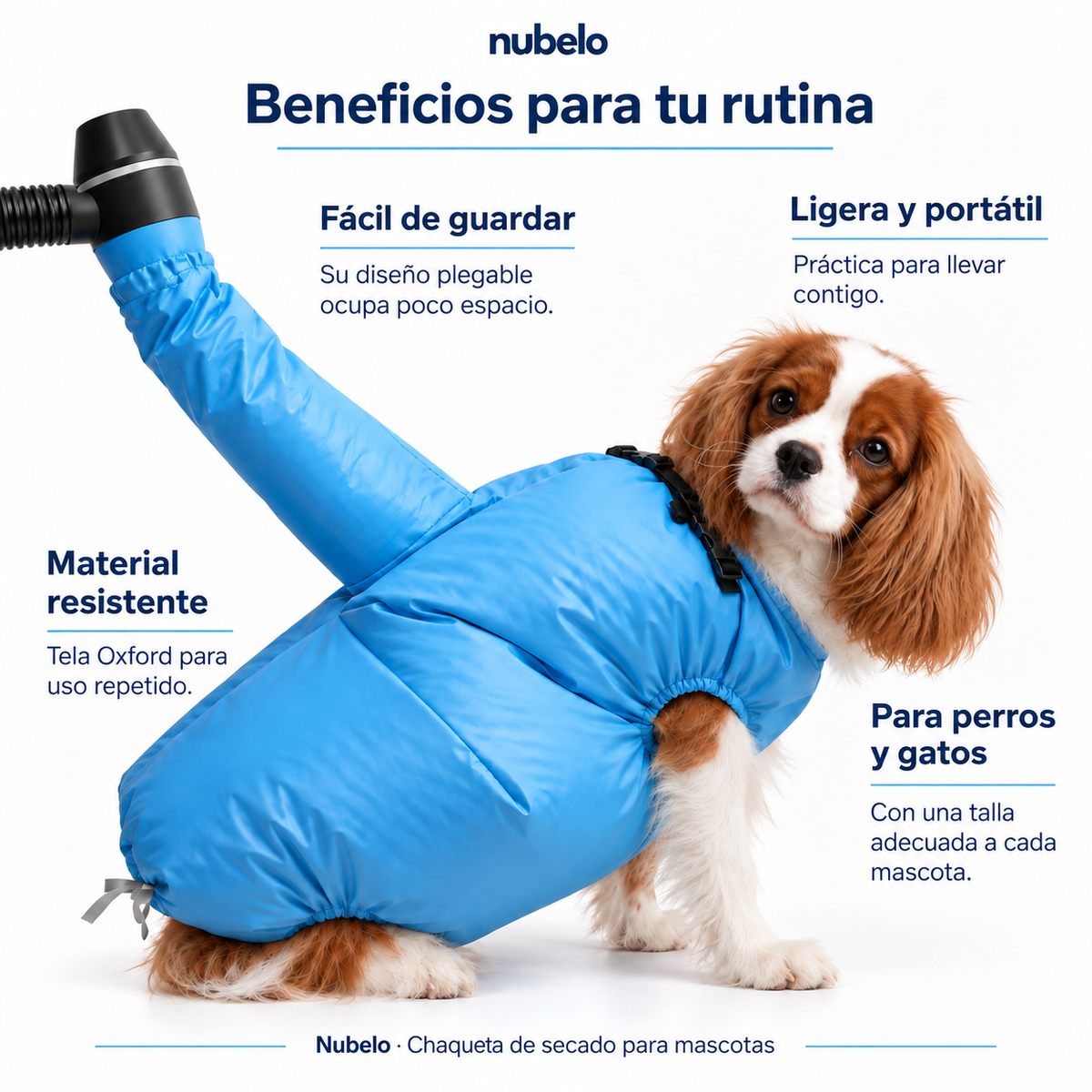 Bolsa de secado: tu perro seco sin estrés